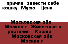 7 причин  завести себе кошку  Мусю › Цена ­ 100 - Московская обл., Москва г. Животные и растения » Кошки   . Московская обл.,Москва г.